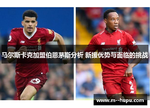 马尔斯卡克加盟伯恩茅斯分析 新援优势与面临的挑战